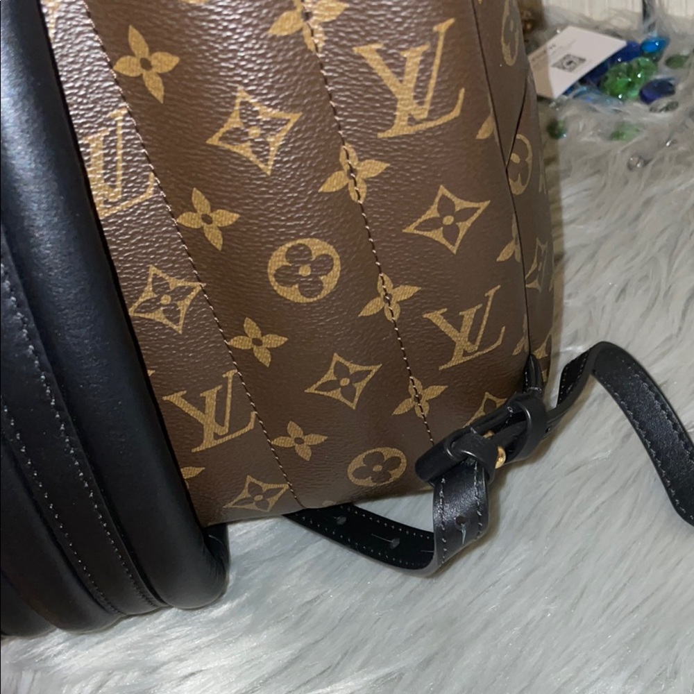 Louis Vuitton Brown Palm Spring Backpack - Picture 12 of 15